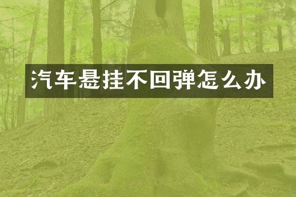 汽车悬挂不回弹怎么办