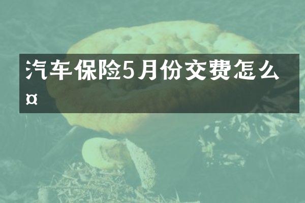 汽车保险5月份交费怎么交