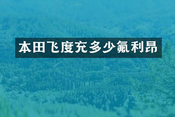 本田飞度充多少氟利昂