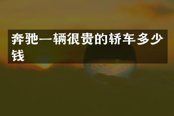 奔驰一辆很贵的轿车多少钱