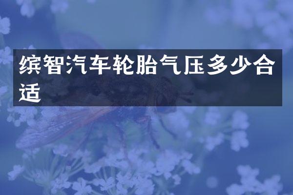 缤智汽车轮胎气压多少合适