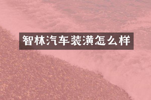 智林汽车装潢怎么样