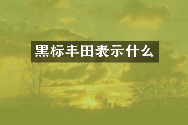 黑标丰田表示什么