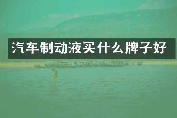 汽车制动液买什么牌子好