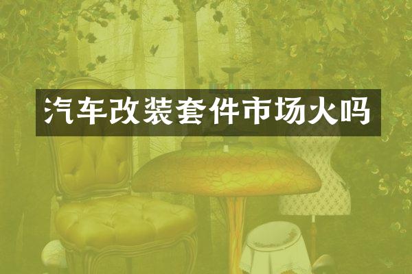 汽车改装套件市场火吗
