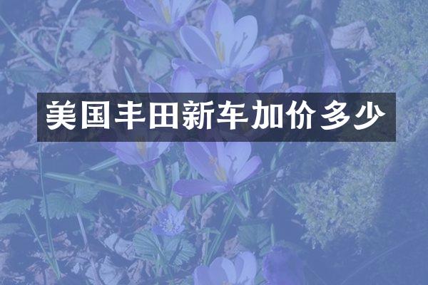 美国丰田新车加价多少