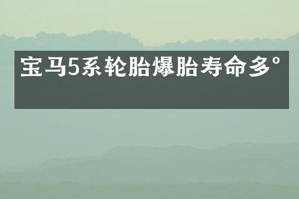 宝马5系轮胎爆胎寿命多少