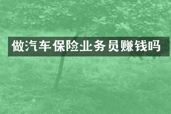 做汽车保险业务员赚钱吗