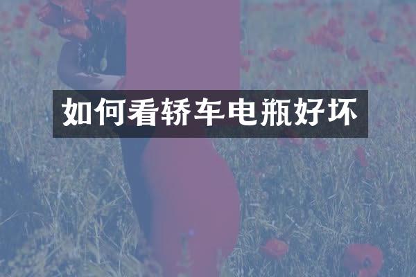 如何看轿车电瓶好坏
