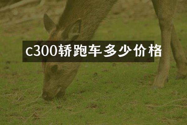 c300轿跑车多少价格