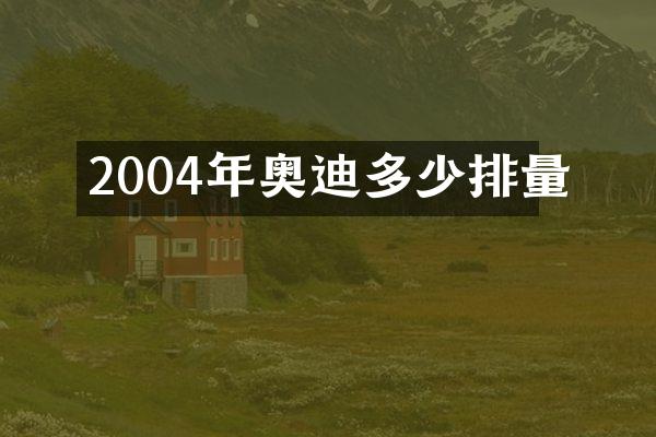 2004年奥迪多少排量