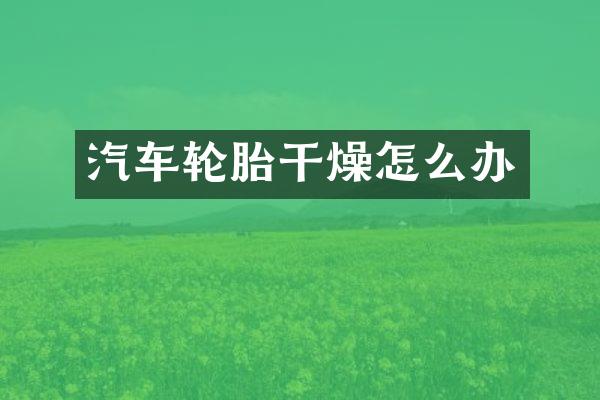 汽车轮胎干燥怎么办