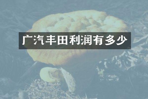 广汽丰田利润有多少