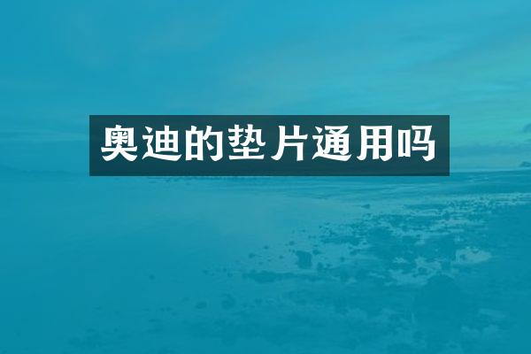 奥迪的垫片通用吗