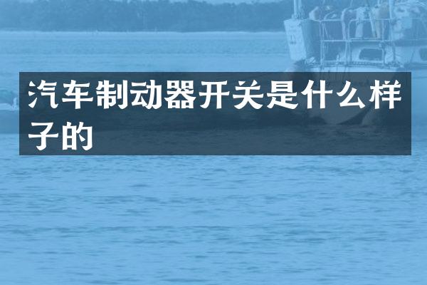 汽车制动器开关是什么样子的