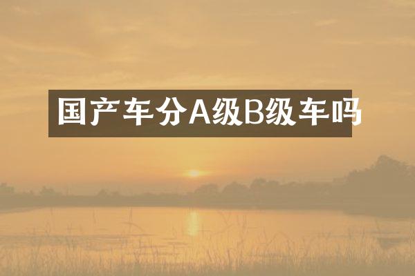 国产车分A级B级车吗