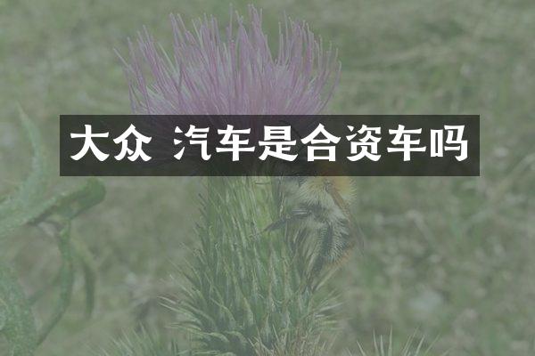 大众 汽车是合资车吗