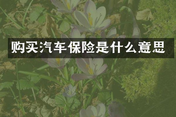 购买汽车保险是什么意思