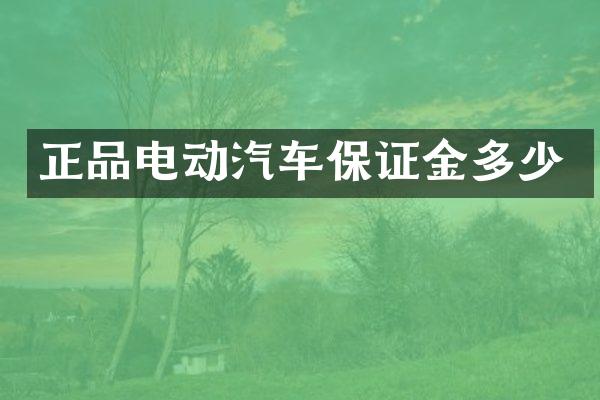 正品电动汽车保证金多少