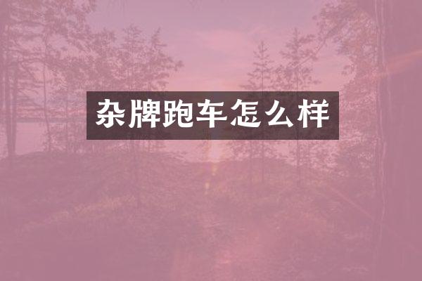 杂牌跑车怎么样