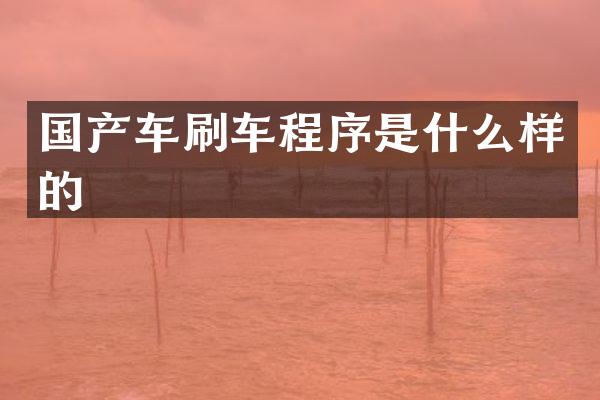 国产车刷车程序是什么样的