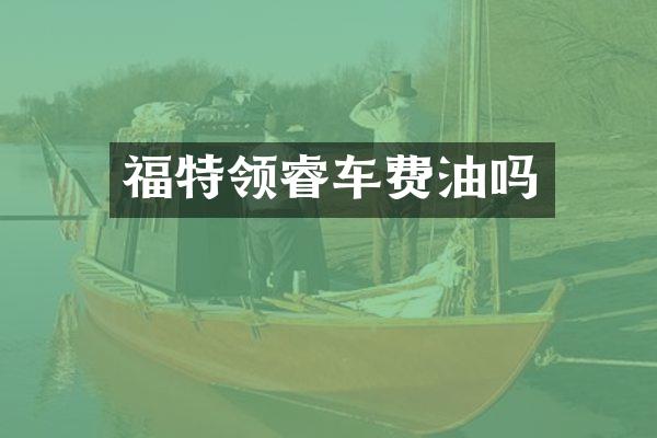 福特领睿车费油吗