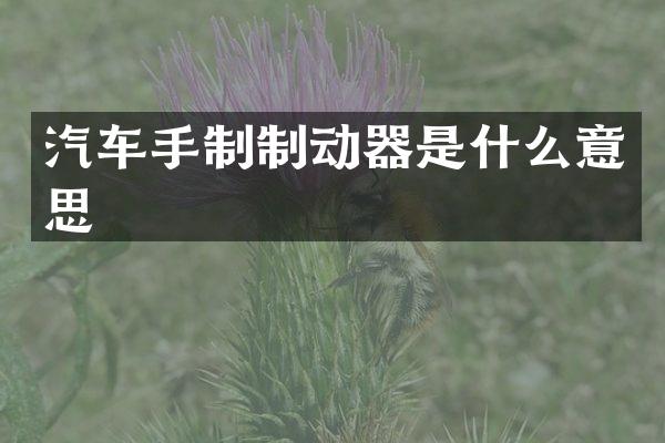 汽车手制制动器是什么意思