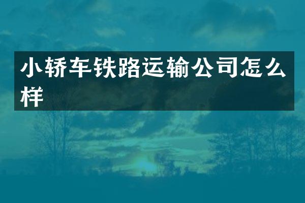 小轿车铁路运输公司怎么样