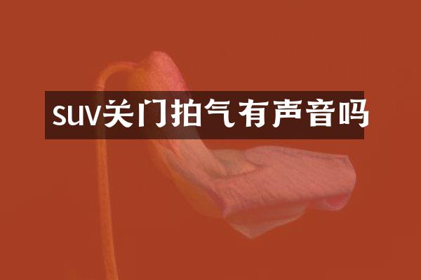 suv关门拍气有声音吗