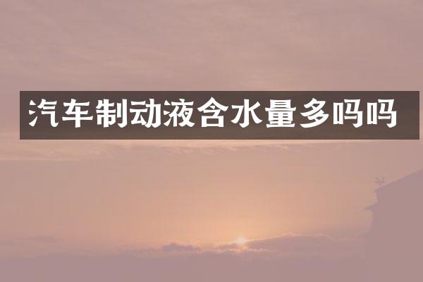 汽车制动液含水量多吗吗