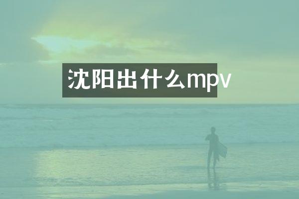 沈阳出什么mpv