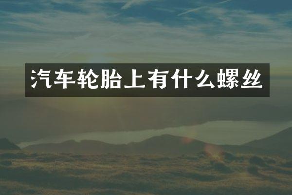 汽车轮胎上有什么螺丝