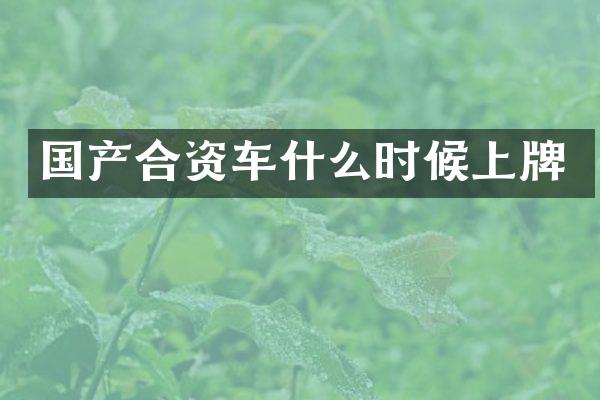 国产合资车什么时候上牌
