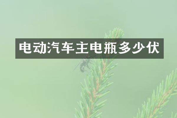 电动汽车主电瓶多少伏