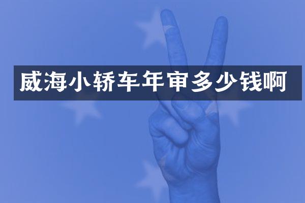 威海小轿车年审多少钱啊