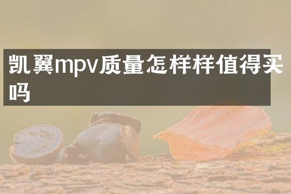 凯翼mpv质量怎样样值得买吗