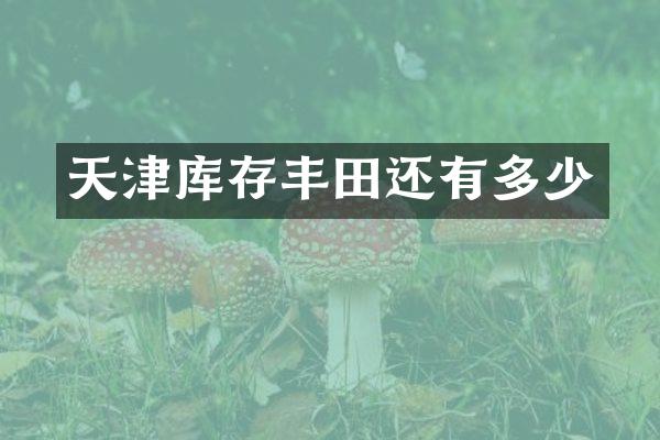 天津库存丰田还有多少