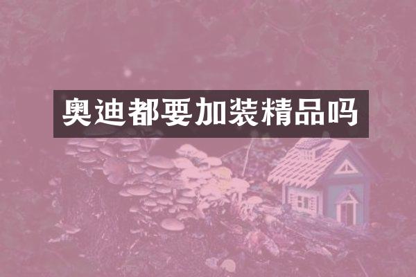 奥迪都要加装精品吗