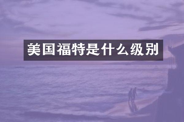 美国福特是什么级别