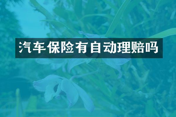 汽车保险有自动理赔吗