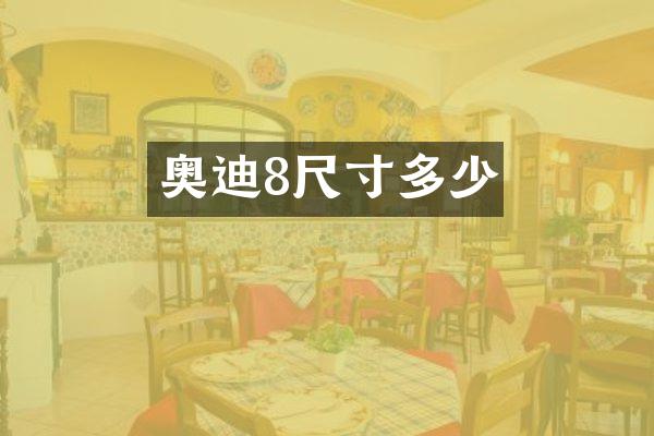 奥迪8尺寸多少