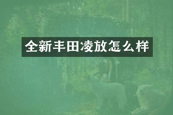 全新丰田凌放怎么样