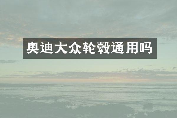 奥迪大众轮毂通用吗