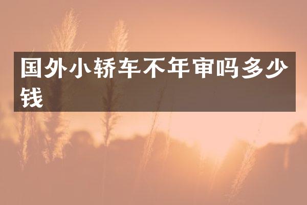 国外小轿车不年审吗多少钱