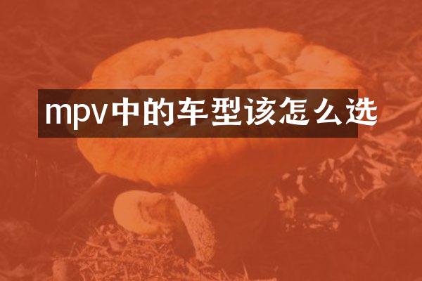 mpv中的车型该怎么选