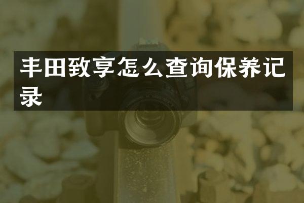 丰田致享怎么查询保养记录