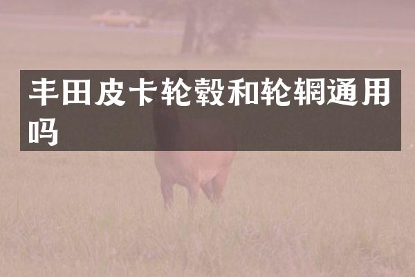 丰田皮卡轮毂和轮辋通用吗