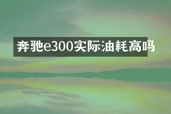 奔驰e300实际油耗高吗