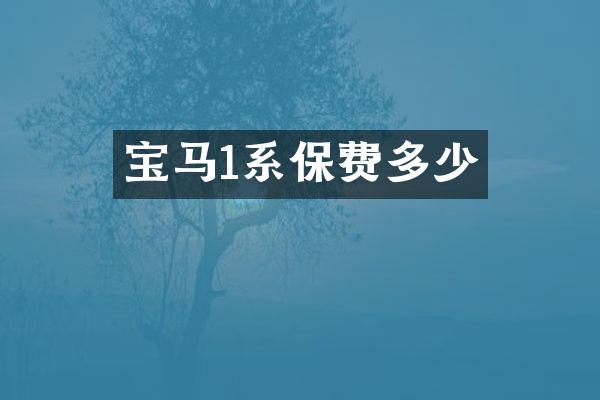 宝马1系保费多少