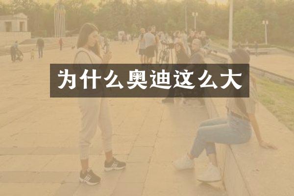 为什么奥迪这么大